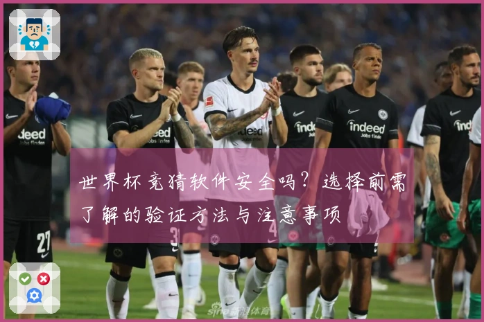 世界杯竞猜软件安全吗？选择前需了解的验证方法与注意事项
