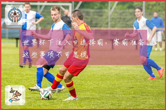 世界杯下注入口选择前，赛前准备这些事项不可忽视