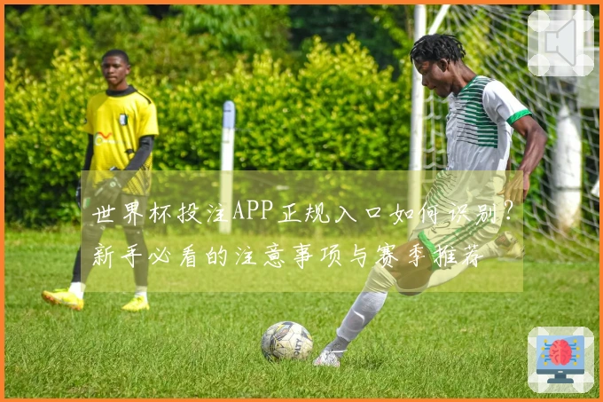 世界杯投注APP正规入口如何识别?新手必看的注意事项与赛季推荐