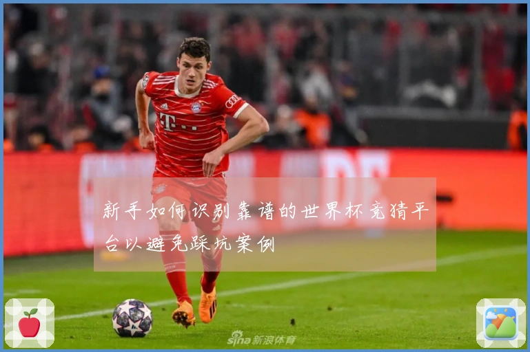 新手如何识别靠谱的世界杯竞猜平台以避免踩坑案例
