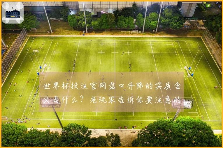 世界杯投注官网盘口升降的实质含义是什么？老玩家告诉你要注意的细节