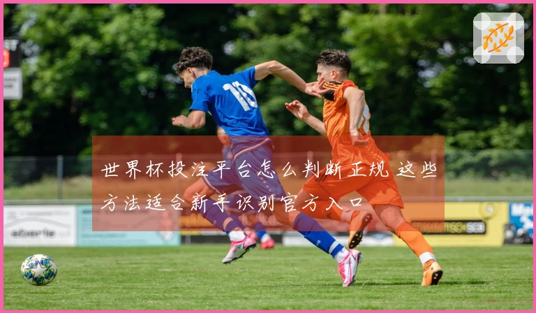 世界杯投注平台怎么判断正规 这些方法适合新手识别官方入口