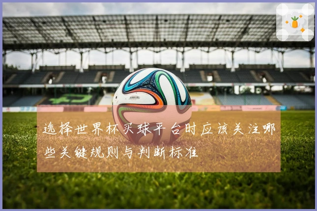 选择世界杯买球平台时应该关注哪些关键规则与判断标准