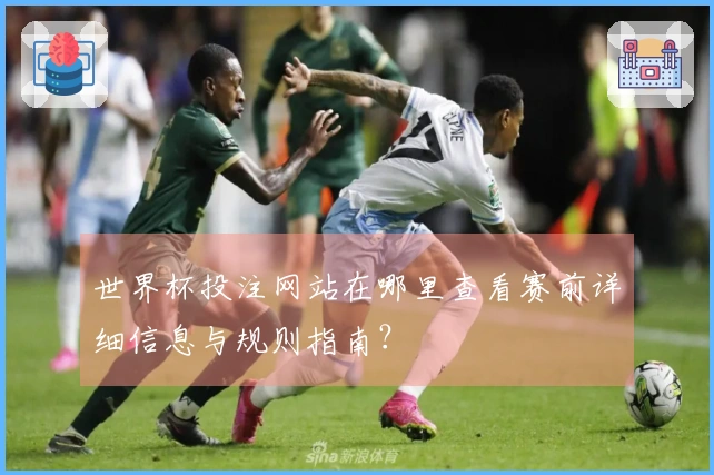 世界杯投注网站在哪里查看赛前详细信息与规则指南？
