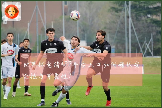 世界杯竞猜APP平台入口如何确认安全性与可靠性？