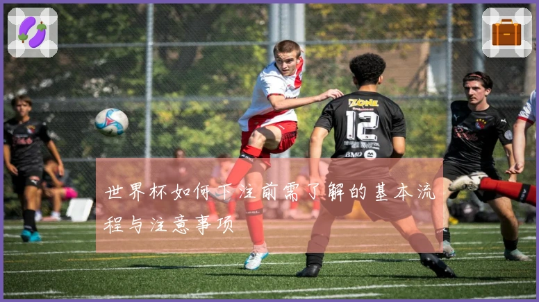 世界杯如何下注前需了解的基本流程与注意事项