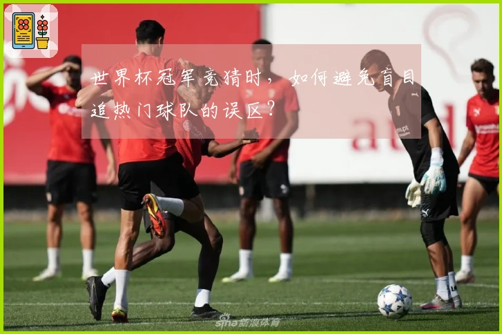 世界杯冠军竞猜时，如何避免盲目追热门球队的误区？