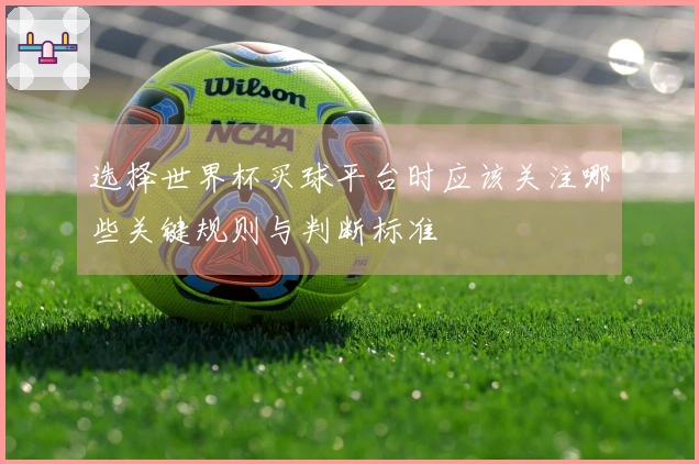 选择世界杯买球平台时应该关注哪些关键规则与判断标准