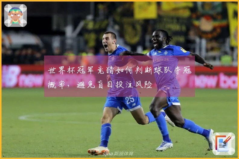 世界杯冠军竞猜如何判断球队夺冠概率，避免盲目投注风险