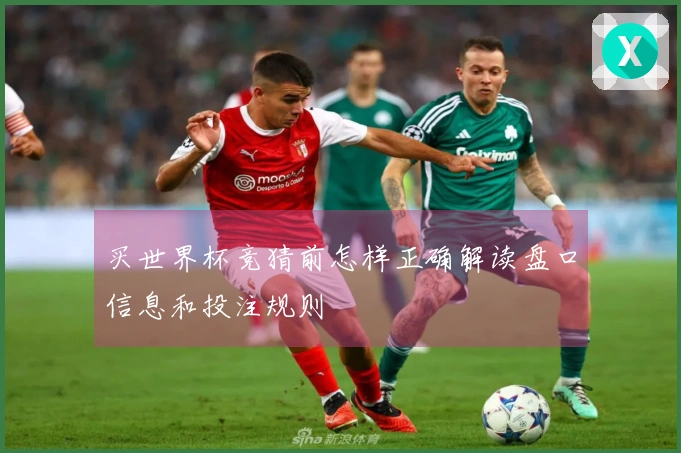 买世界杯竞猜前怎样正确解读盘口信息和投注规则