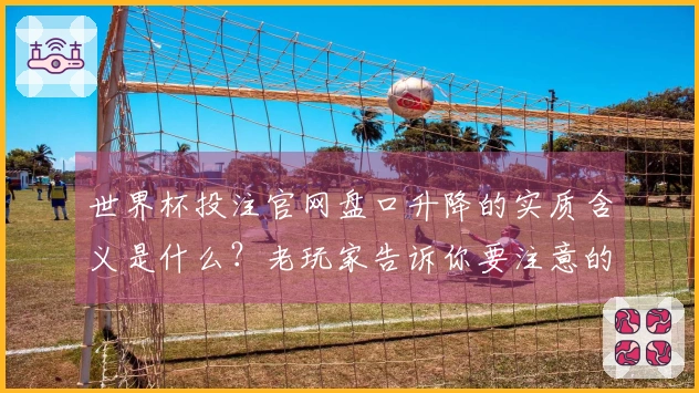 世界杯投注官网盘口升降的实质含义是什么？老玩家告诉你要注意的细节