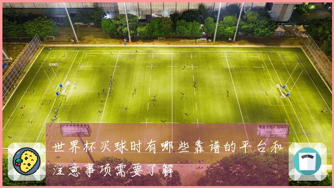 世界杯买球时有哪些靠谱的平台和注意事项需要了解