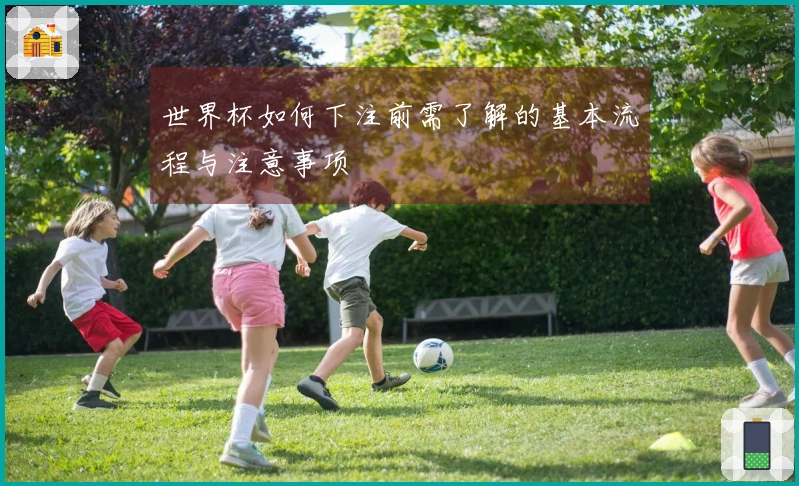 世界杯如何下注前需了解的基本流程与注意事项